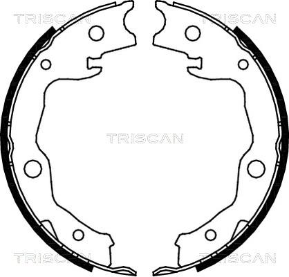 Triscan 8100 13042 - Комплект гальм, барабанний механізм autocars.com.ua