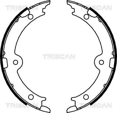 Triscan 8100 13045 - Комплект тормозов, ручник, парковка autodnr.net