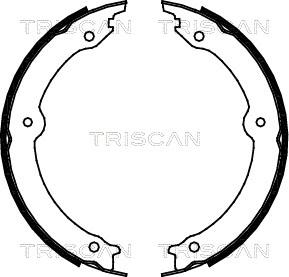 Triscan 8100 13046 - Комплект гальм, ручник, парковка autocars.com.ua