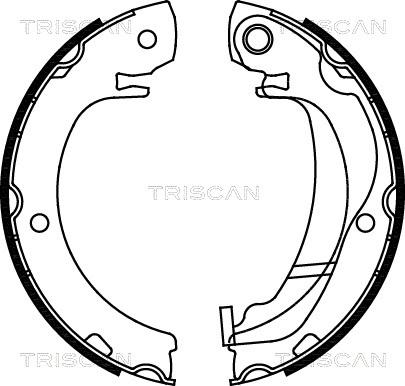 Triscan 8100 13047 - Комплект гальм, ручник, парковка autocars.com.ua