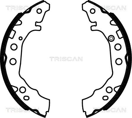 Triscan 8100 13052 - Комплект гальм, барабанний механізм autocars.com.ua