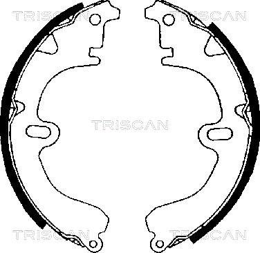 Triscan 8100 13392 - Комплект тормозных колодок, барабанные avtokuzovplus.com.ua