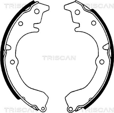 Triscan 8100 13502 - Комплект тормозных колодок, барабанные autodnr.net