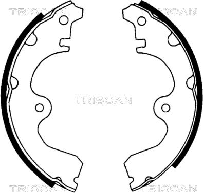 Triscan 8100 13534 - Комплект тормозных колодок, барабанные avtokuzovplus.com.ua