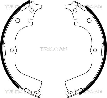 Triscan 8100 13557 - Комплект тормозных колодок, барабанные avtokuzovplus.com.ua