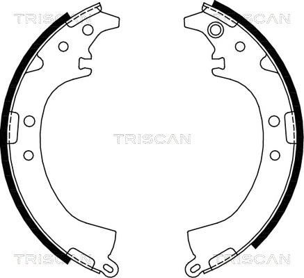 Triscan 8100 13569 - Комплект гальм, барабанний механізм autocars.com.ua