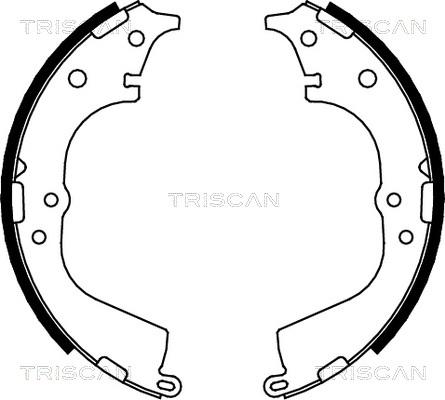 Triscan 8100 13591 - Комплект тормозных колодок, барабанные avtokuzovplus.com.ua
