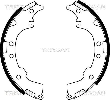Triscan 8100 13601 - Комплект тормозных колодок, барабанные autodnr.net