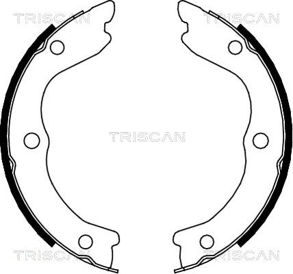 Triscan 8100 14006 - Комплект тормозов, ручник, парковка avtokuzovplus.com.ua