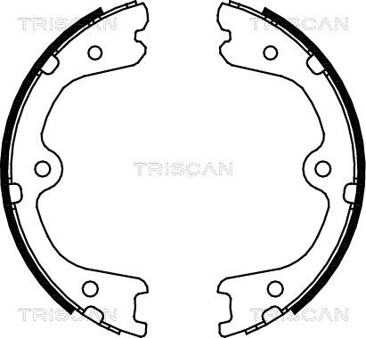 Triscan 8100 14008 - Комплект гальм, ручник, парковка autocars.com.ua