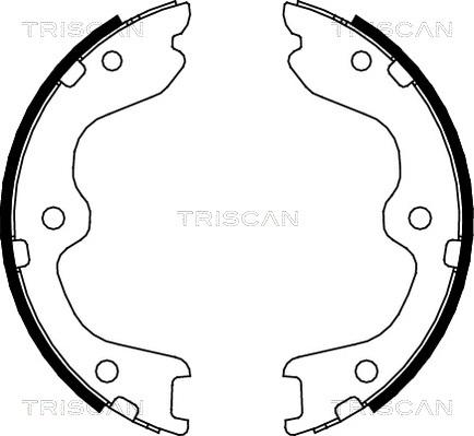 Triscan 8100 14010 - Комплект гальм, барабанний механізм autocars.com.ua