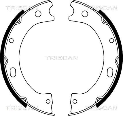 Triscan 8100 14011 - Комплект гальм, барабанний механізм autocars.com.ua