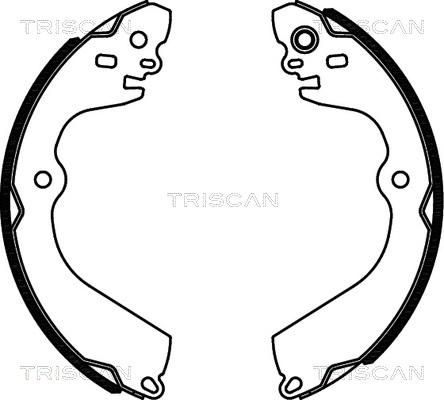 Triscan 8100 14013 - Комплект гальм, барабанний механізм autocars.com.ua