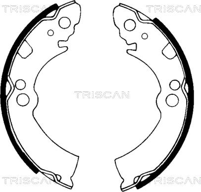 Triscan 8100 14396 - Комплект тормозных колодок, барабанные avtokuzovplus.com.ua