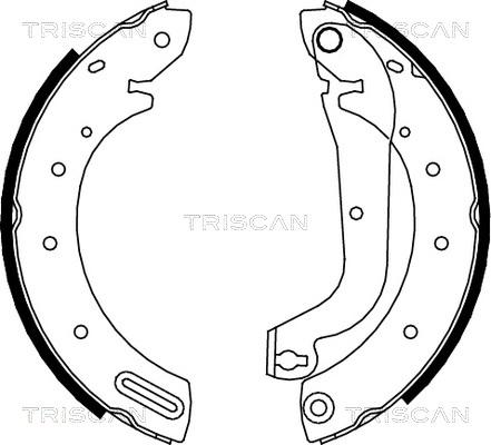 Triscan 8100 14596 - Комплект гальм, барабанний механізм autocars.com.ua