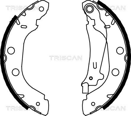 Triscan 8100 14614 - Комплект гальм, барабанний механізм autocars.com.ua