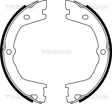 Triscan 8100 15019 - Комплект тормозов, ручник, парковка avtokuzovplus.com.ua