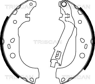 Triscan 8100 15021 - Комплект тормозных колодок, барабанные avtokuzovplus.com.ua