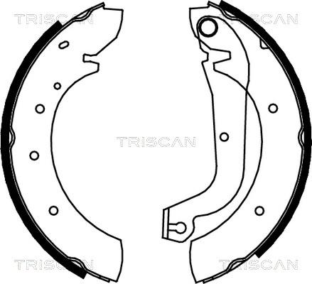 Triscan 8100 15480 - Комплект тормозных колодок, барабанные avtokuzovplus.com.ua