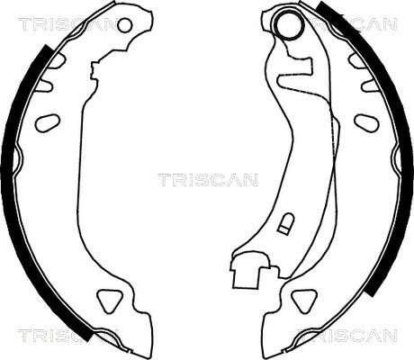 Triscan 8100 15482 - Комплект гальм, барабанний механізм autocars.com.ua