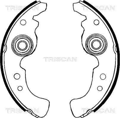 Triscan 8100 15486 - Комплект тормозных колодок, барабанные autodnr.net