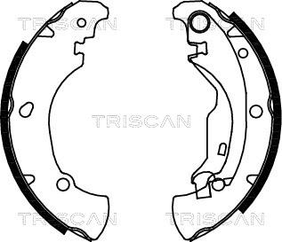 Triscan 8100 15625 - Комплект гальм, барабанний механізм autocars.com.ua