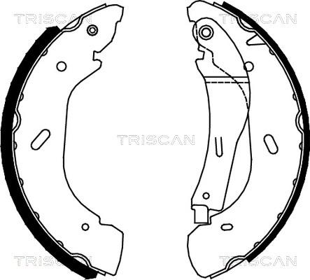 Triscan 8100 16005 - Комплект гальм, барабанний механізм autocars.com.ua