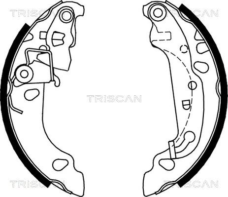 Triscan 8100 16008 - Комплект тормозных колодок, барабанные autodnr.net
