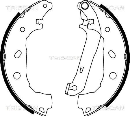 Triscan 8100 16009 - Комплект тормозных колодок, барабанные autodnr.net