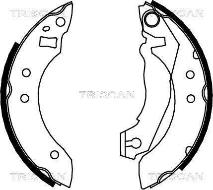 Triscan 8100 16355 - Комплект тормозных колодок, барабанные avtokuzovplus.com.ua