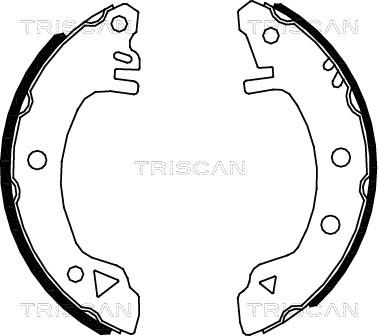 Triscan 8100 16375 - Комплект гальм, барабанний механізм autocars.com.ua
