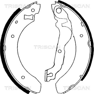 Triscan 8100 16376 - Комплект гальм, барабанний механізм autocars.com.ua