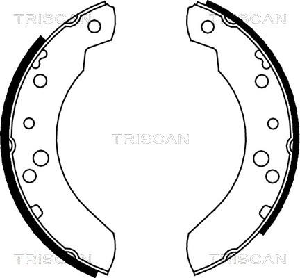 Triscan 8100 16440 - Комплект тормозных колодок, барабанные avtokuzovplus.com.ua