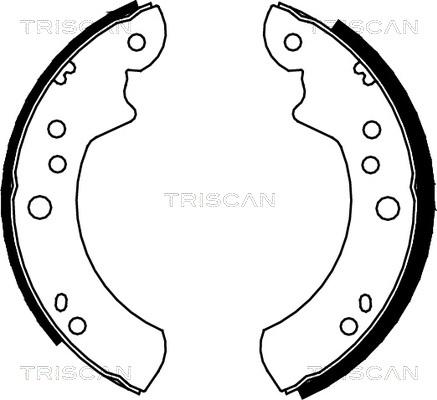 Triscan 8100 16443 - Комплект тормозных колодок, барабанные autodnr.net