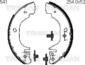 Triscan 8100 16541 - Комплект тормозных колодок, барабанные avtokuzovplus.com.ua