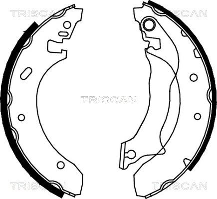 Triscan 8100 16559 - Комплект гальм, барабанний механізм autocars.com.ua