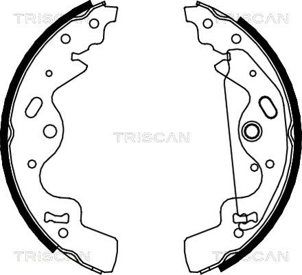Triscan 8100 17010 - Комплект гальм, барабанний механізм autocars.com.ua
