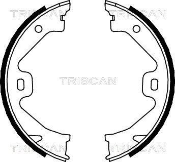 Triscan 8100 17011 - Комплект тормозов, ручник, парковка avtokuzovplus.com.ua
