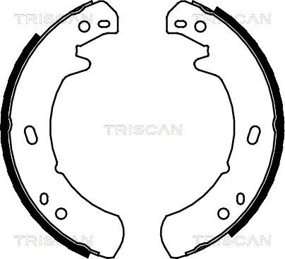 Triscan 8100 17012 - Комплект гальм, ручник, парковка autocars.com.ua