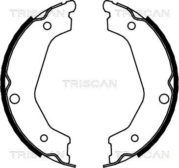 Triscan 8100 18004 - Комплект гальм, ручник, парковка autocars.com.ua