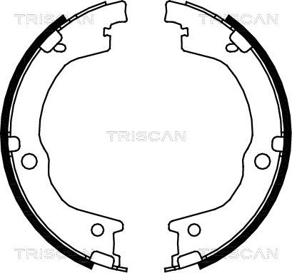 Triscan 8100 18006 - Комплект тормозных колодок, барабанные autodnr.net