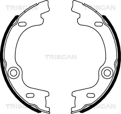 Triscan 8100 18010 - Комплект гальм, ручник, парковка autocars.com.ua