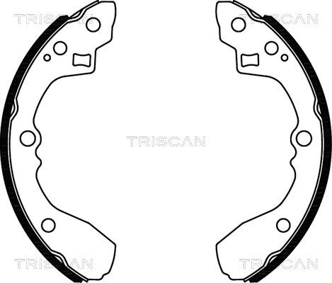 Triscan 8100 18012 - Комплект тормозных колодок, барабанные autodnr.net