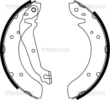 Triscan 8100 18013 - Комплект гальм, барабанний механізм autocars.com.ua