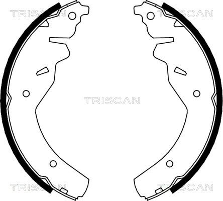 Triscan 8100 18595 - Комплект тормозных колодок, барабанные autodnr.net