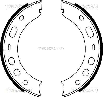 Triscan 8100 20001 - Комплект гальм, ручник, парковка autocars.com.ua