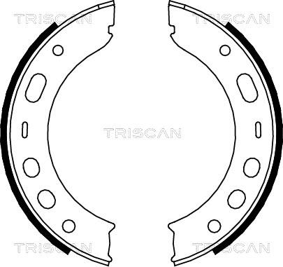 Triscan 8100 20002 - Комплект гальм, ручник, парковка autocars.com.ua