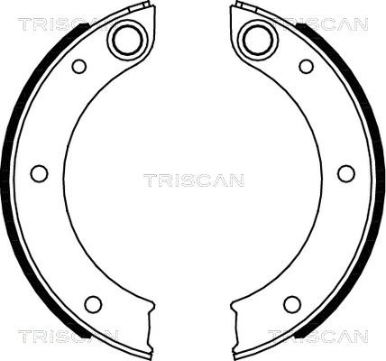 Triscan 8100 20003 - Комплект гальм, ручник, парковка autocars.com.ua