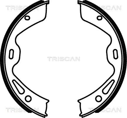 Triscan 8100 20004 - Комплект гальм, ручник, парковка autocars.com.ua