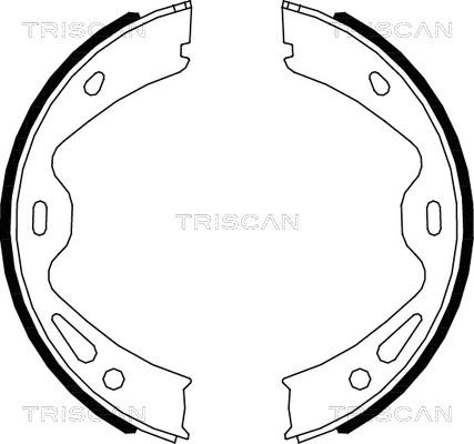 Triscan 8100 20005 - Комплект тормозов, ручник, парковка autodnr.net